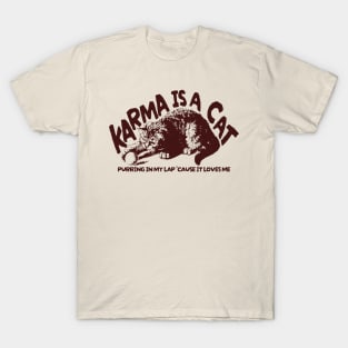 Karma is cat Vintage T-Shirt
